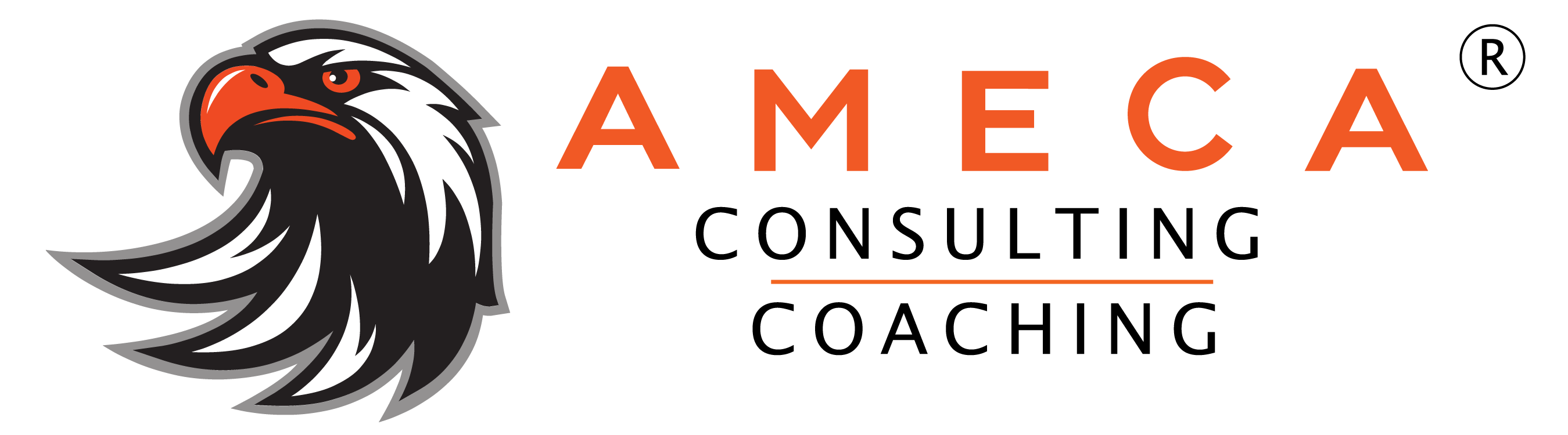 AMECA CONSULTING